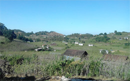 미얀마·린 레이 마을에서 유기농 허브 재배 지도 개시